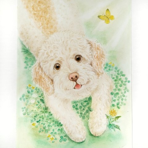 うちの子 似顔絵 ♡ ペット (犬・猫・ハムスター・うさぎ )  手描き イラスト 原画 オーダーメイド　大きめサイズ　プレゼントにもおすすめ