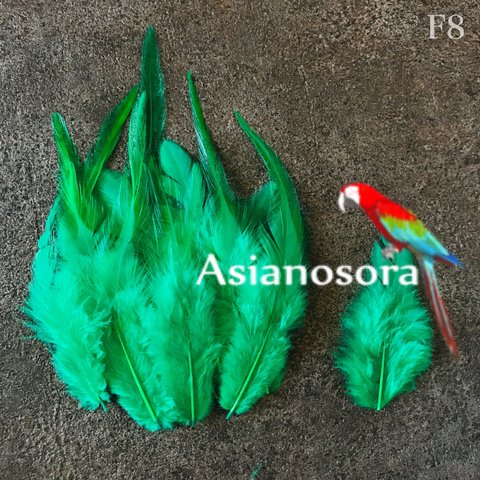 【F08 緑】高品質　羽根 10枚 フェザー　ピアス　アクセサリー パーツ 羽　素材　鳥の羽根 鳥 