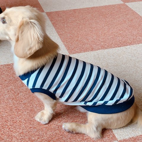 ネイビーボーダー 冷感素材　ロングサイズ  クール　タンクトップ　ネイビー　ボーダー　愛犬服　犬服　ペット　暑さ対策【受注製作品】