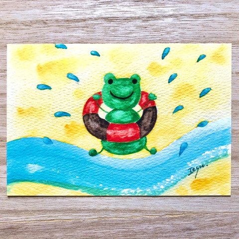 🐸透明水彩画「カエルくんの水遊び」水彩画イラストポストカード２枚セット かえる　メッセージカード　暑中見舞い🐸