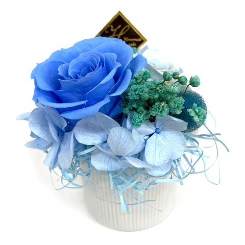 プチプリザ ミントブルー プリザーブドフラワー バラ ギフト 花 贈り物 誕生日 お祝い 母の日 プリザ ムース