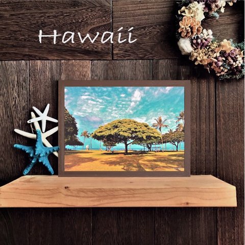 【送料無料】南国の風景☆HAWAII No.185　                                 フレーム付    A4サイズ