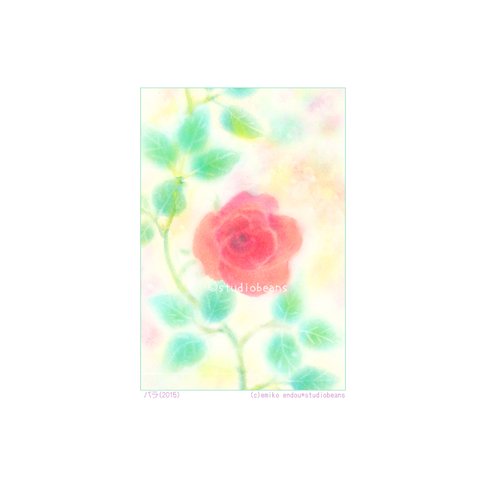【選べるポストカード5枚セット】No.156 2017バラ