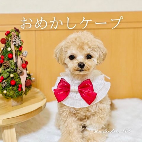 おめかしケープ（誕生日、つけ襟、スタイ、犬、猫、うさぎ、ベビークラウン、ハロウィン、クリスマス