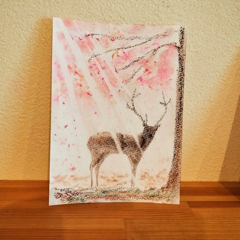 桜と鹿✨