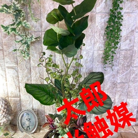 光触媒　人工観葉植物　ウォールグリーン　フェイクグリーン　シーグレープカラテアアレンジ@gja