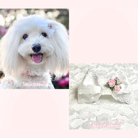 ありすりぼん🎀 犬用 わんこ用 リボン バレッタ 薔薇 ブライダル 清楚 ペット用 軽い ホワイト