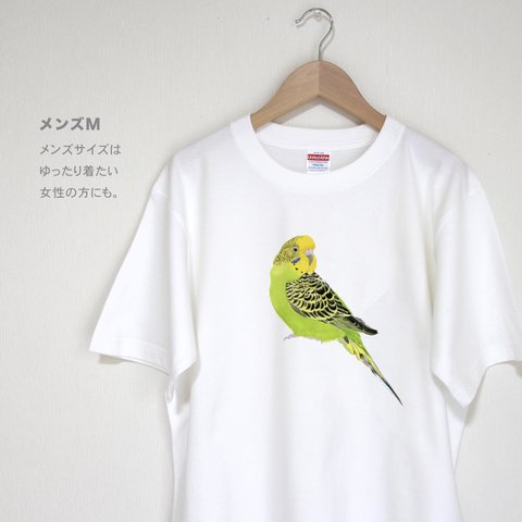 p-jet　緑の セキセイインコ Tシャツ　 / 鳥　インコ 