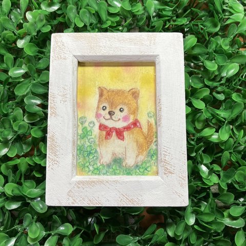 「赤柴ちゃん ちょこん」ミニ額 原画  パステル画  アート 赤柴 癒し 可愛い  犬 癒しの空間に