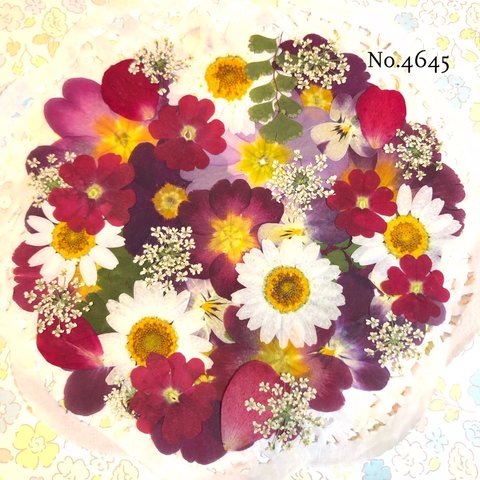 ♡new♡作家様必見♡押し花MIXセット♡押し花セット