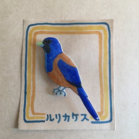 受注生産★鳥ブローチ【ルリカケス】