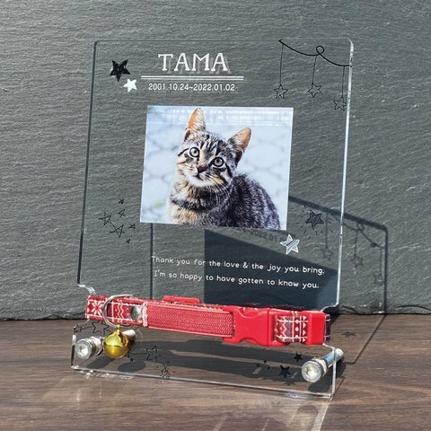 【 ペット首輪プレート　スター/猫・小型犬用】 ペットフォトプレート 位牌 仏具 遺影 手元供養