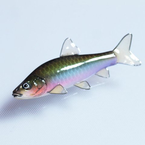 フィッシュブローチ（クチボソ）/魚のアクセサリー