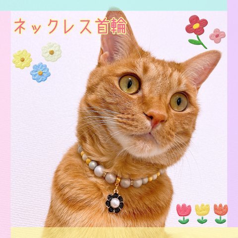 猫の首輪🐈おしゃれパールビーズ✨ネックレス首輪♡お花チャーム🌸