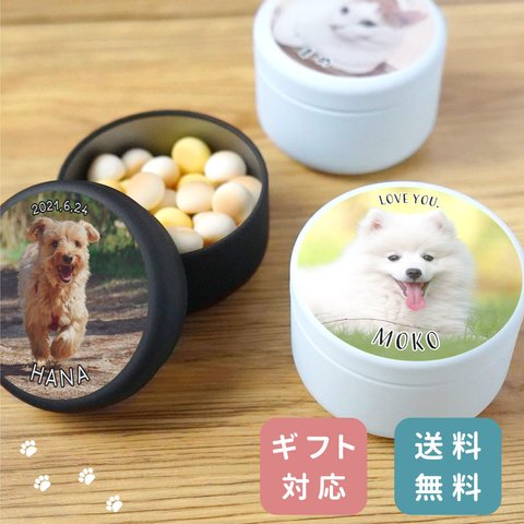 【名入れ無料】 ペット おやつ缶 写真入り 名入れ ケース 名前入り 箱 いぬ ねこ イヌ ネコ ネーム入り おやつ入れ ボックス トリーツケース アクセサリー コンパクト お散歩 持ち歩き 保管