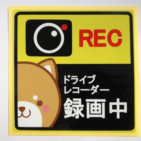 まるっとかわいいカーステッカー　ドライブレコーダー　柴犬