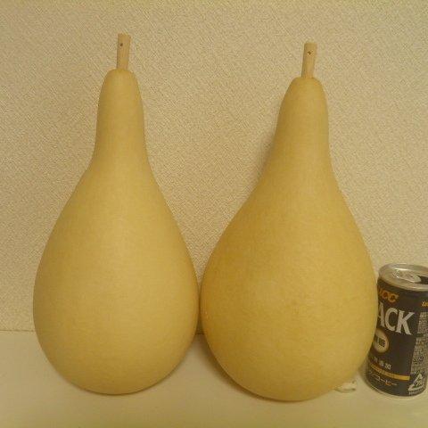 乾燥ひょうたん２本セット①26㎝と26㎝