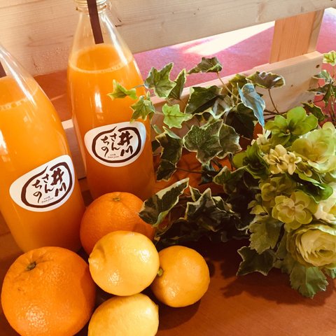 みかん蜂蜜入り🍯『井川さんちのストレートみかんジュース』🍊