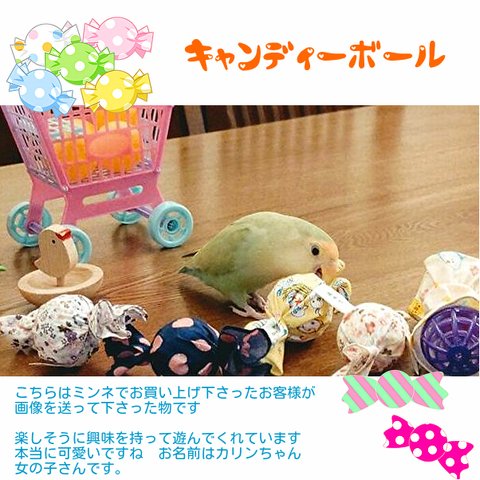 鳥さん猫さん大好きキャンディーボール(展示のみ）