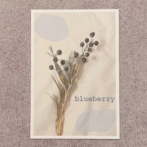 blueberry ポストカード