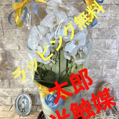 光触媒　人工観葉植物　ウォールグリーン　フェイクグリーン　胡蝶蘭7035@g