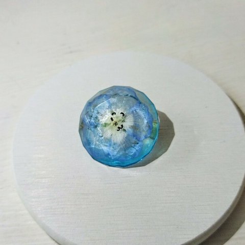 ネモフィラ(AquaBlue)の宝石カットブローチ / レジン / ドライフラワー