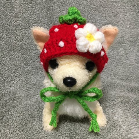 超小型犬用帽子🍓苺の帽子