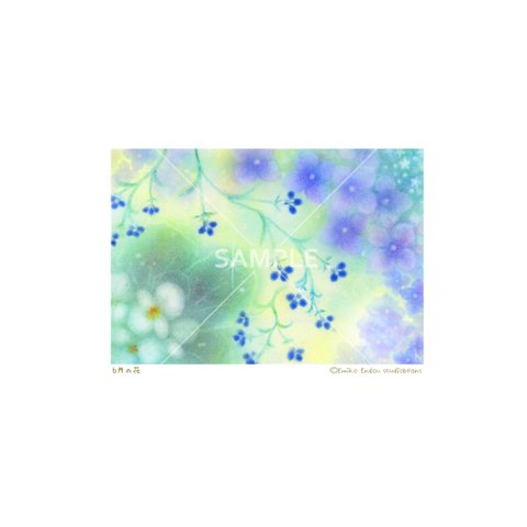 【選べるポストカード5枚セット】No.155 6月の花