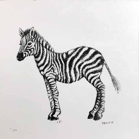 リトグラフ原画「Zebra」