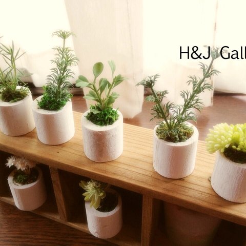 ☆小さな小さなちーさな植木鉢＊3個セット 白丸鉢