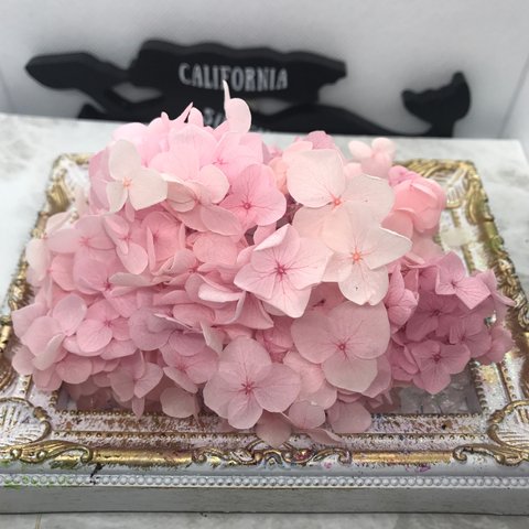 新カラーアンナアジサイピンクライラック小分け❣️ハーバリウム/レジンアクセサリー花材プリザーブドフラワー