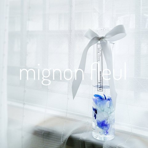 『mignon fleul』aoiro