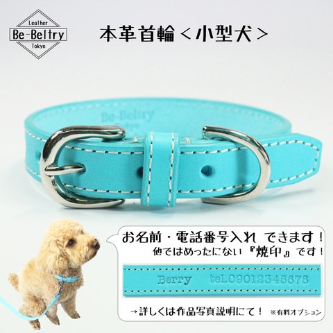 【送料無料】本革レザー首輪〈小型犬〉 ターコイズブルー色 幅１７ｍｍ 長さ２４~３２cm 高級ヌメ革使用