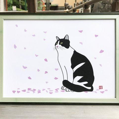 猫のポスター　A4サイズ　「桜」