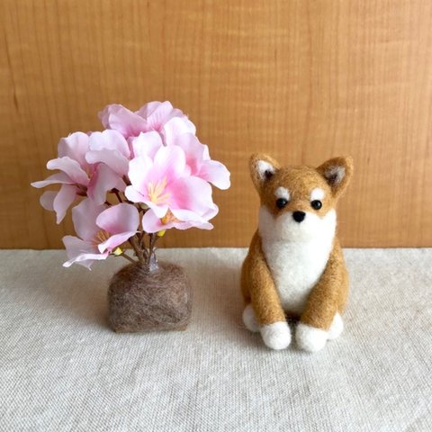 柴犬ちゃんのお花見 羊毛フェルト