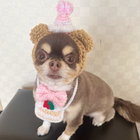 犬用＆猫用  誕生日帽子🎂ピンクバースデーハットを被ったくまさん帽子🧸 お祝い、パーティーに❣️