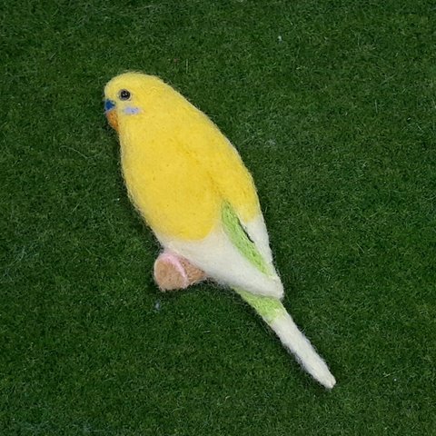 ♥️羊毛フェルト　インコさんブローチ♥️