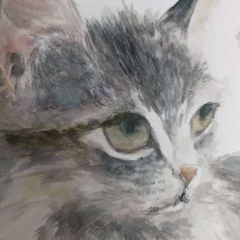  猫の絵 水彩画