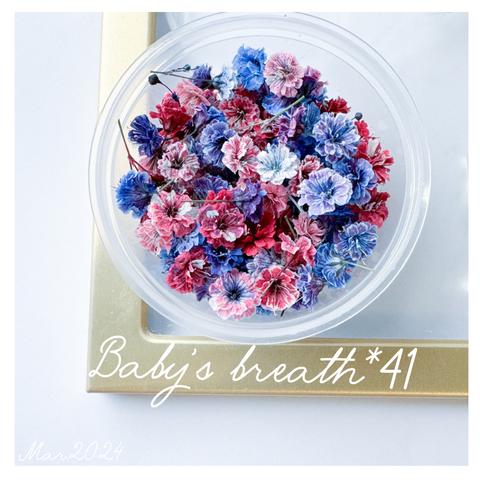 baby’s breath*41