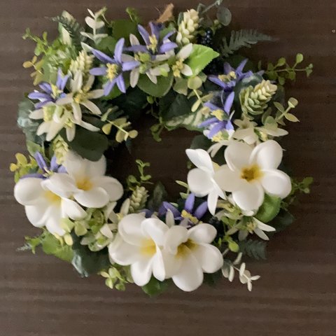 Plumeria wreathe〜LL size〜