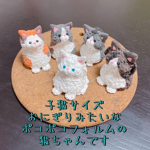 おにぎりみたいなポコポコフォルムの猫ちゃん«子猫サイズ»2月販売予定 告知ページ