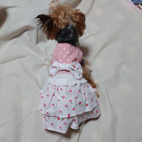 ★再販★着せやすい犬服🐾二段フリルのイチゴワンピースをオーダーメイドで！