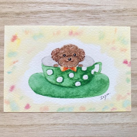 🐶透明水彩画「コーヒーカップわんちゃん(グリーン) 」 イラストポストカード２枚セット トイプードル　犬🐶