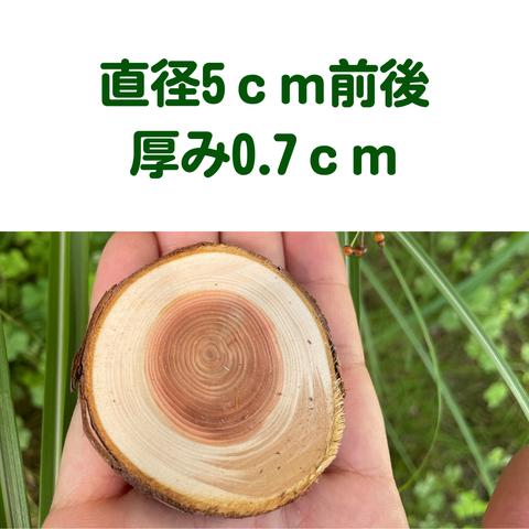 皮付き桧の輪切り　直径5ｃｍ前後　厚み0.7ｃｍ