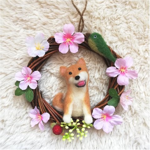 春ウララ🌸羊毛柴犬ちゃんの桜リース💕犬