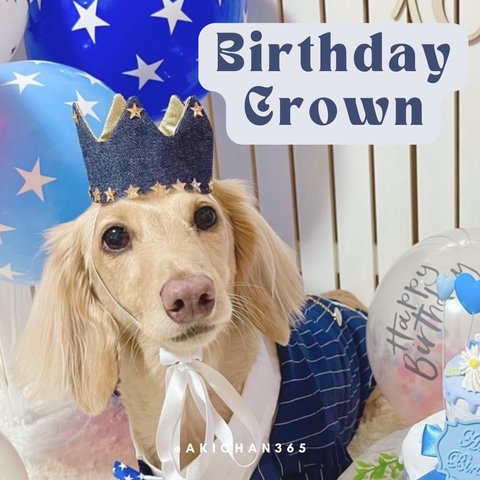 ミニ バースデークラウン デニム 淡ゴールド 星 犬 猫 うさぎ フリル ハーフバースデー 100日 誕生日 王冠 ペット 