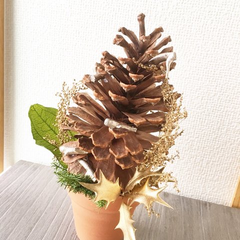 BIG-riマツカサのツリー【ドライ・プリザ】クリスマス