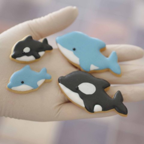 水族館シリーズ　親子イルカ＆シャチセット（7ｃｍ・4ｃｍ）のクッキー型　～海のゆかいな仲間たち〜　