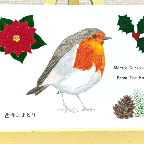ロビン(西洋こまどり)のクリスマスカードA 同柄3枚組【変更可能】
