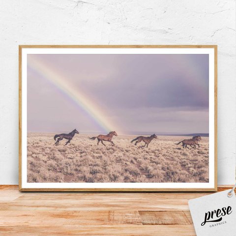 アメリカの原野を走る野生馬、マスタングと虹